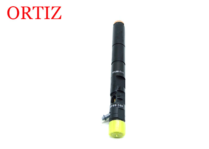 Black Color DELPHI Common Rail Injector Steel Material For CITROEN C3